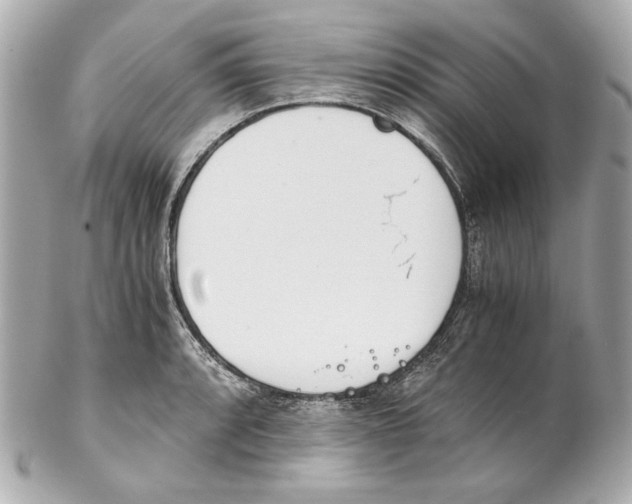 X0000102031088200808151335