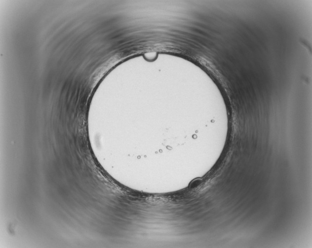 X0000102031089200808151335