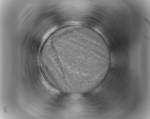 X0000102031090200808151335