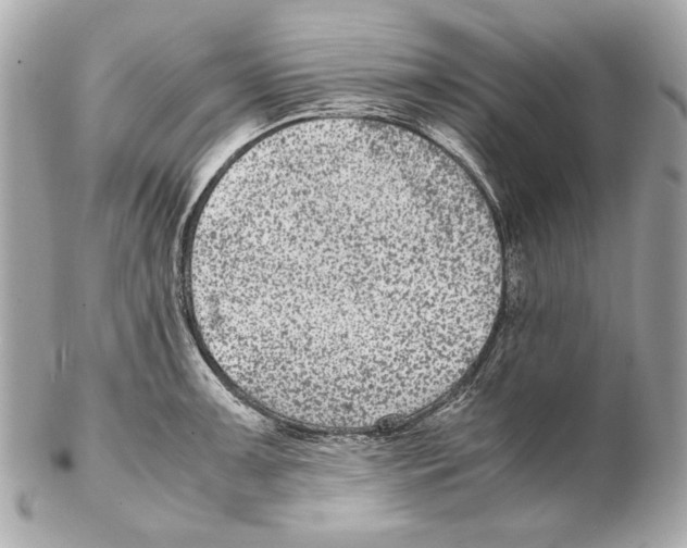 X0000102031091200808151335