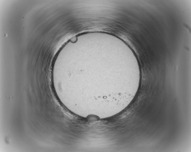 X0000102031093200808151335