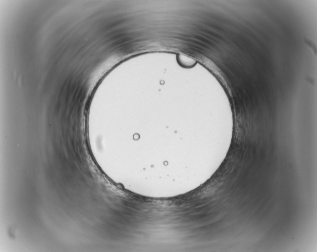 X0000102031096200808151335