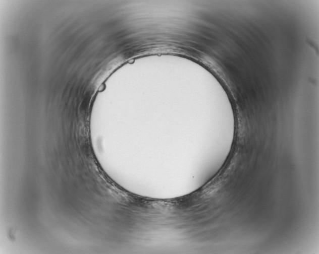 X0000102031097200808151335