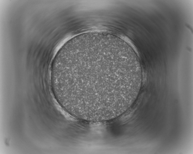 X0000102031099200808151335