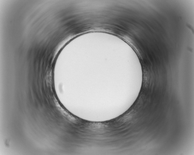 X0000102031100200808151335