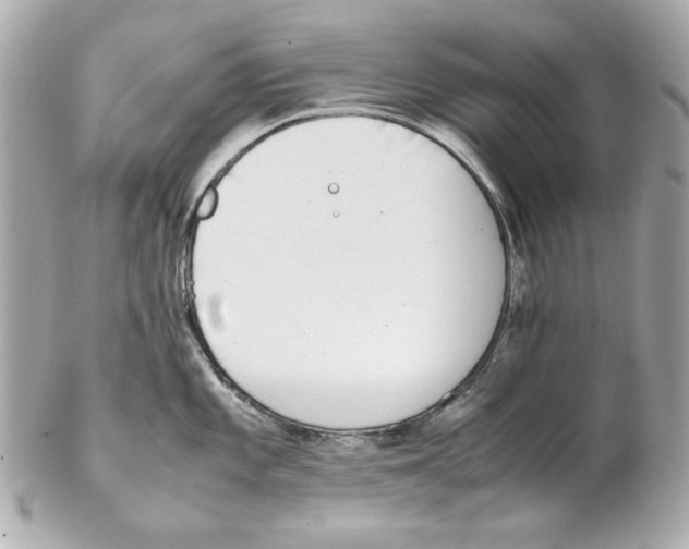 X0000102031101200808151335