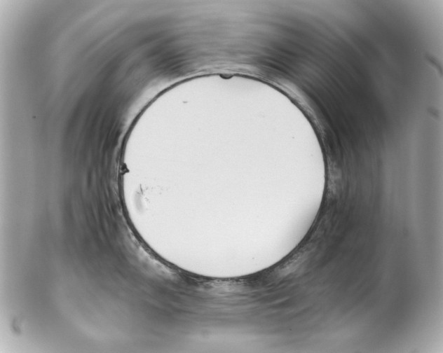 X0000102031102200808151334