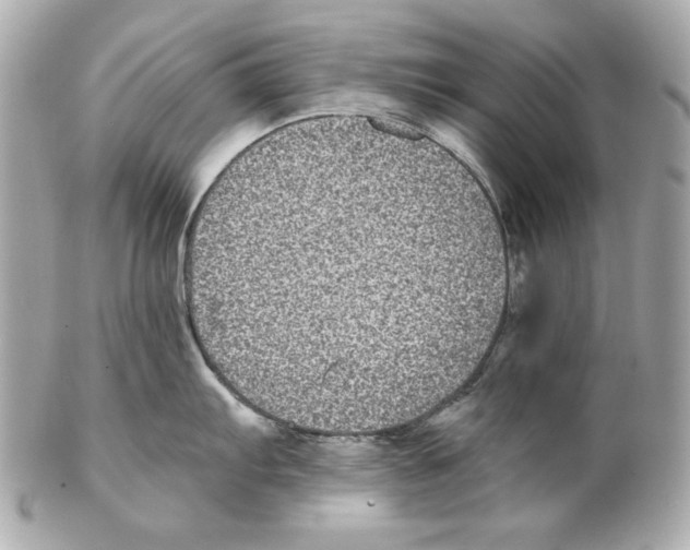 X0000102031103200808151334