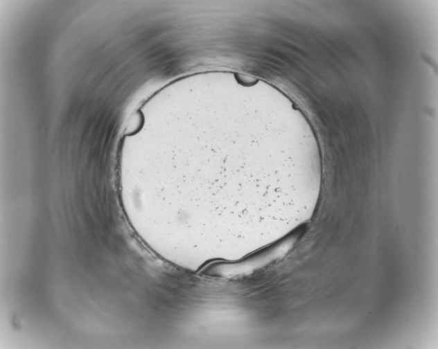 X0000102031104200808151334