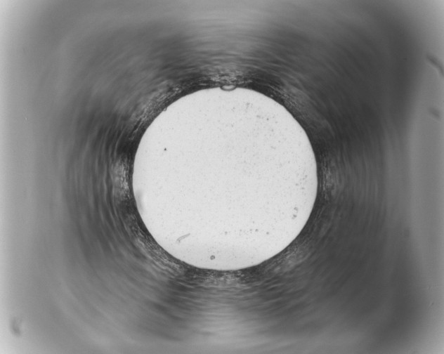 X0000102031106200808151334