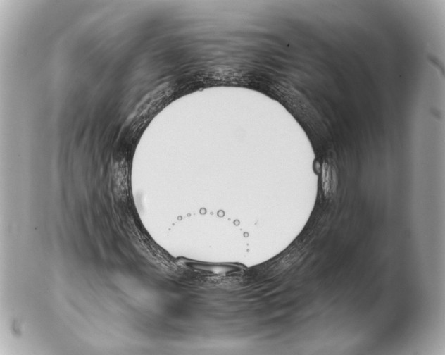 X0000102031107200808151334