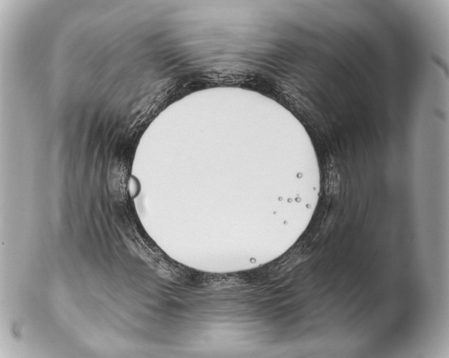 X0000102031108200808151334