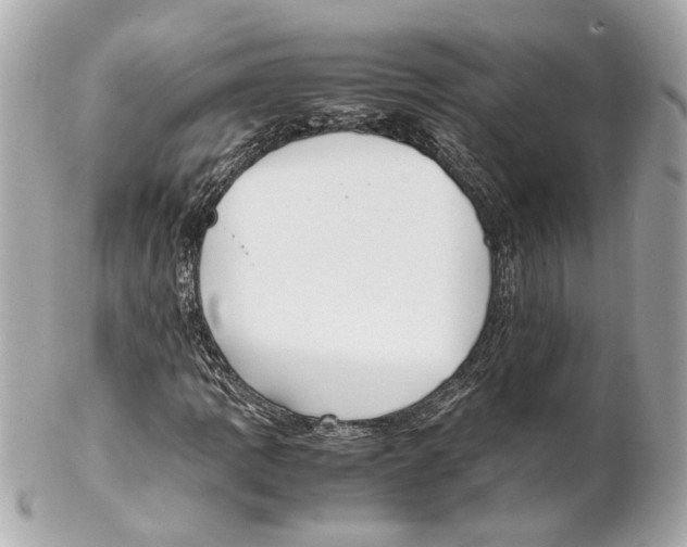 X0000102031109200808151334