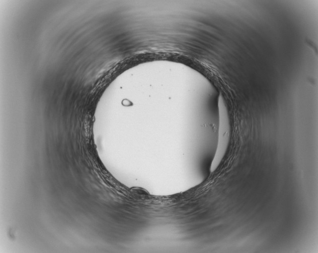 X0000102031110200808151334