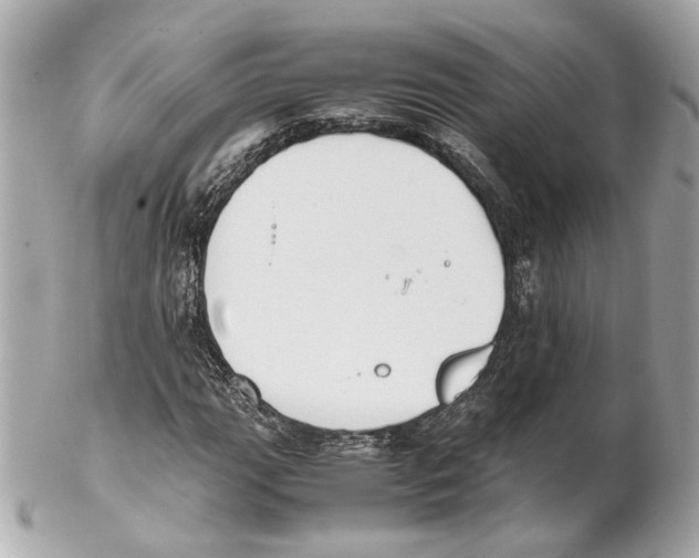 X0000102031111200808151334