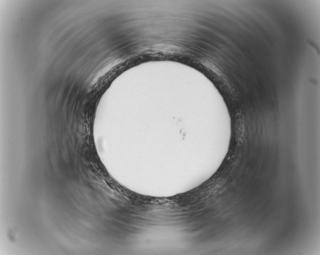 X0000102031112200808151334