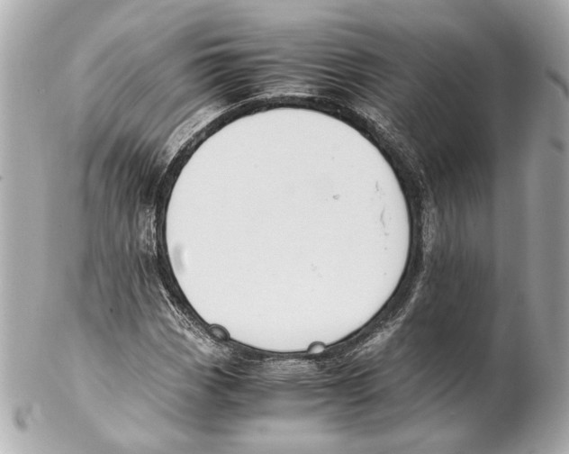 X0000102031113200808151334