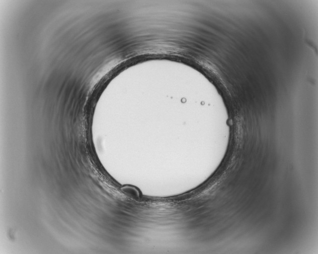 X0000102031114200808151334