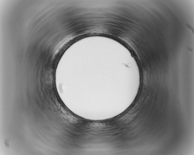 X0000102031115200808151334