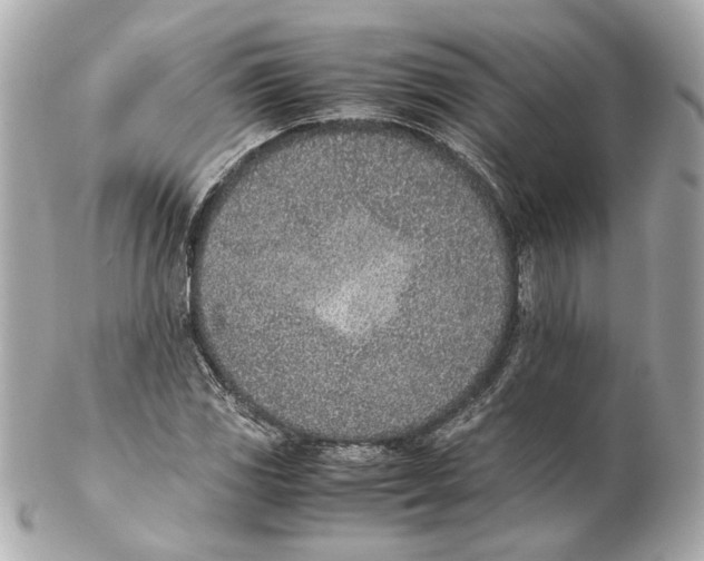 X0000102031117200808151334