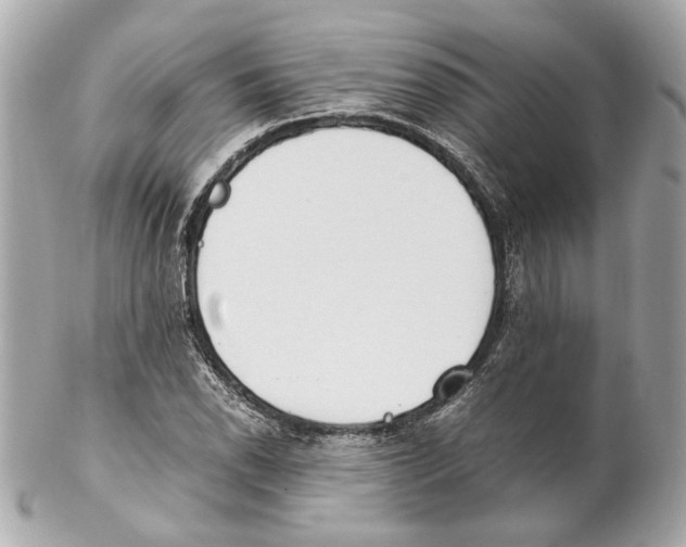 X0000102031118200808151334