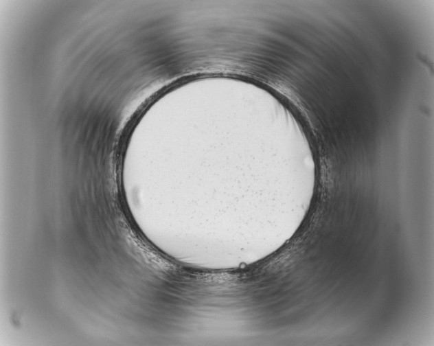 X0000102031120200808151334