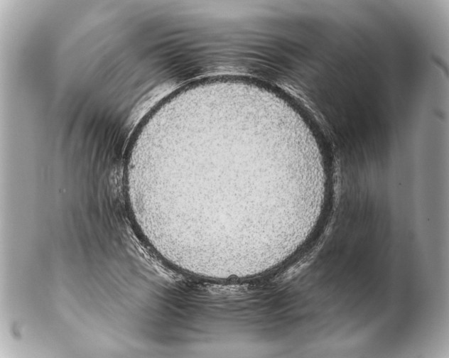 X0000102031121200808151334