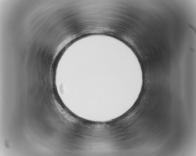 X0000102031122200808151334