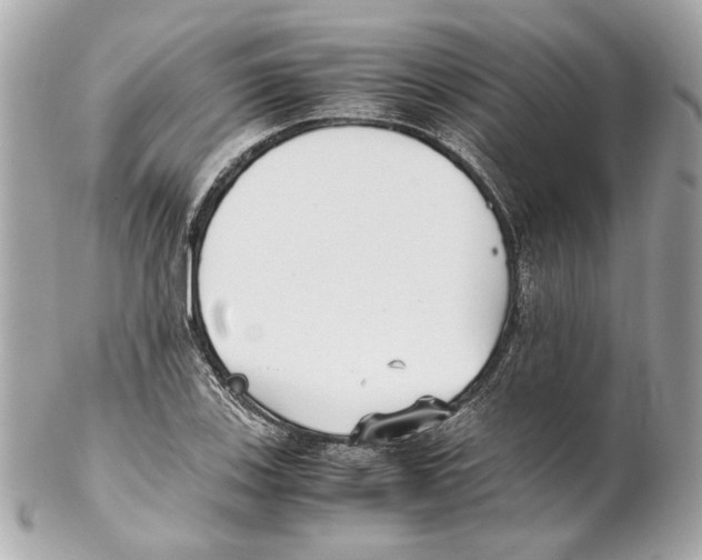 X0000102031123200808151334