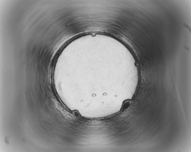 X0000102031124200808151334