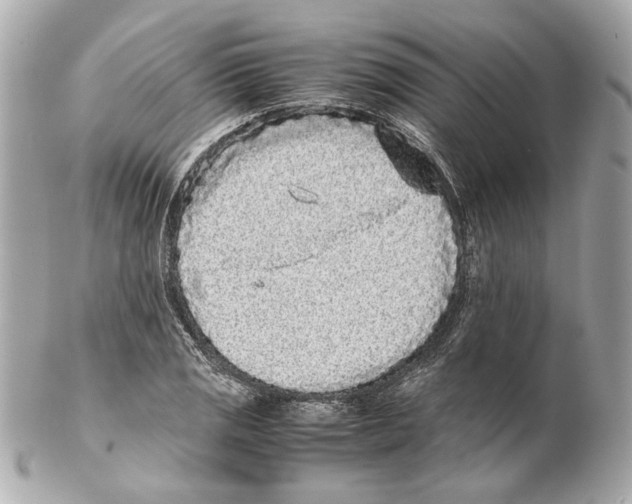 X0000102031125200808151334