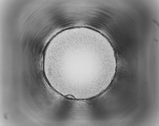 X0000102031126200808151334