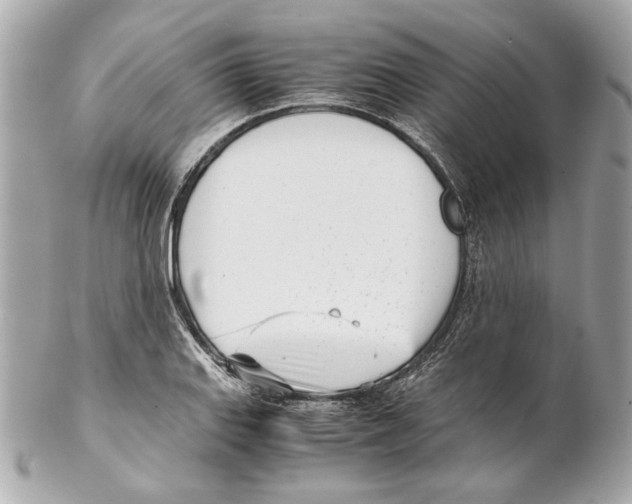 X0000102031127200808151334