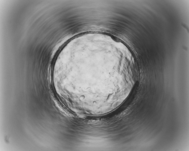 X0000102031128200808151334