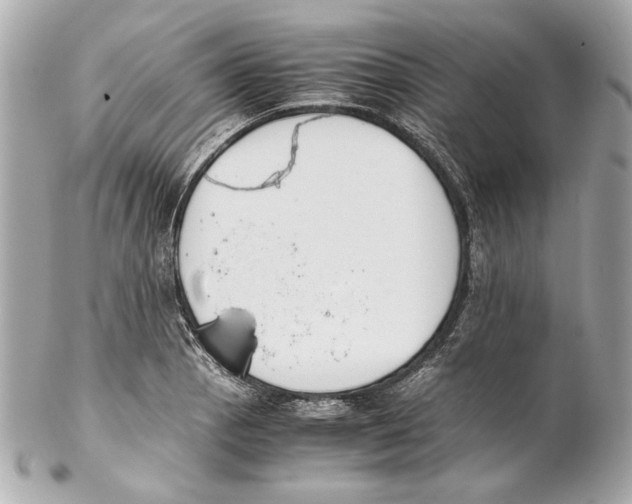 X0000102031129200808151334