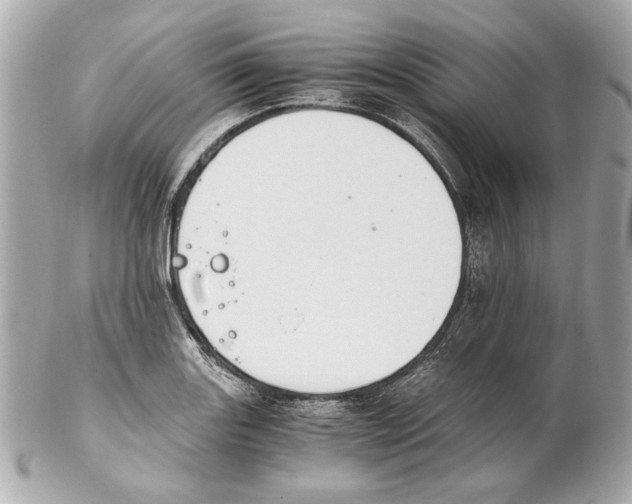 X0000102031131200808151334