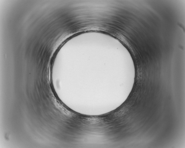 X0000102031132200808151334