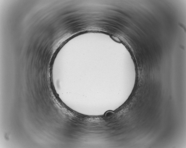 X0000102031133200808151334