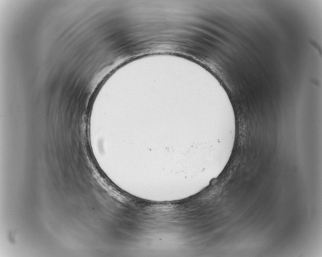 X0000102031134200808151334