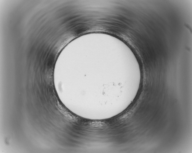 X0000102031137200808151334