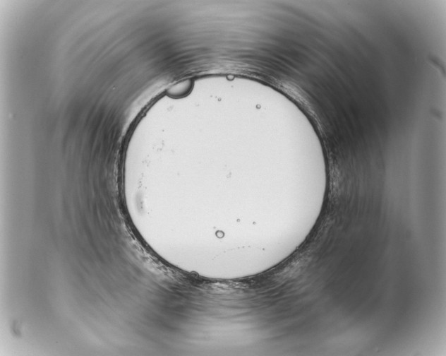 X0000102031138200808151334