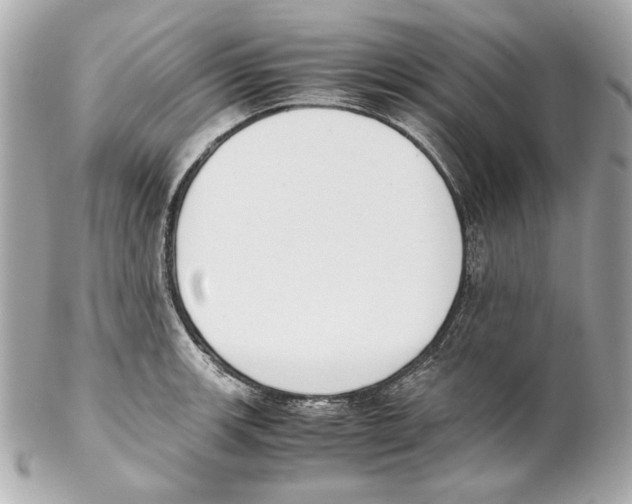 X0000102031139200808151334