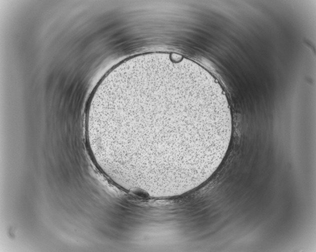 X0000102031140200808151334