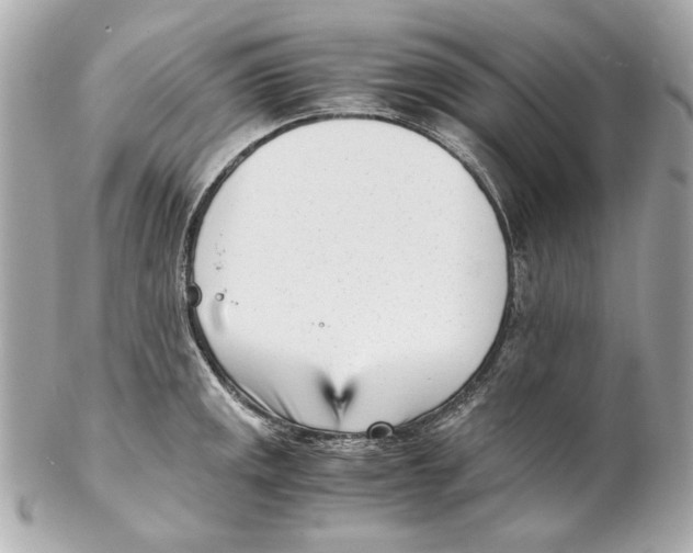 X0000102031141200808151334