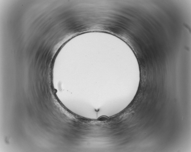 X0000102031142200808151334