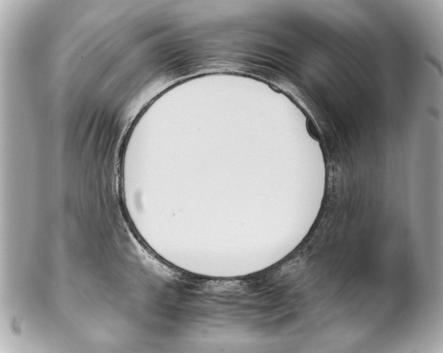 X0000102031143200808151334