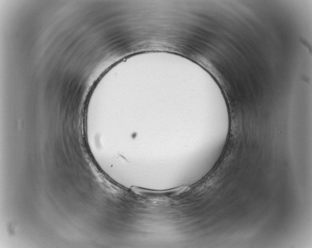 X0000102031144200808151334