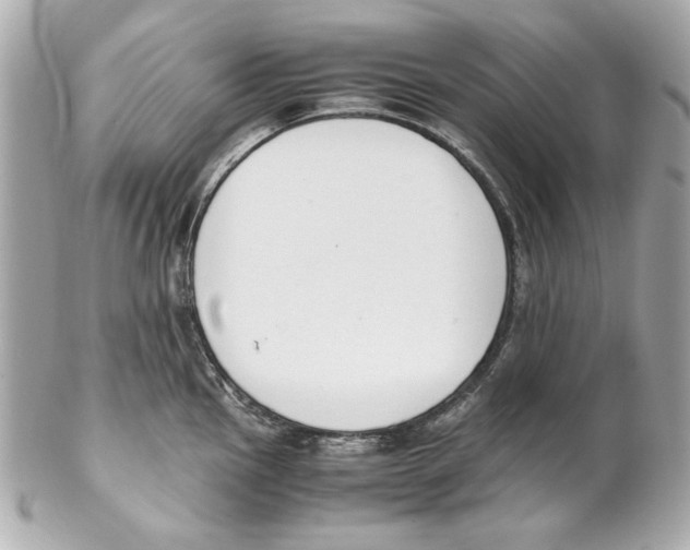 X0000102031145200808151334