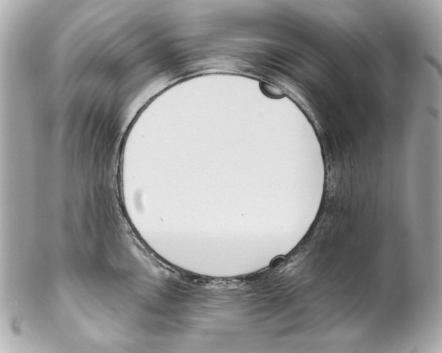 X0000102031146200808151334