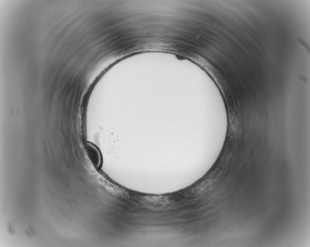 X0000102031147200808151334